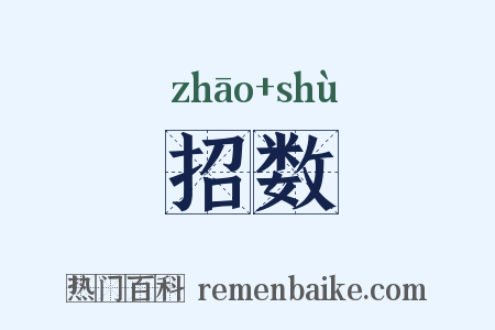 招数是什么意思的图片